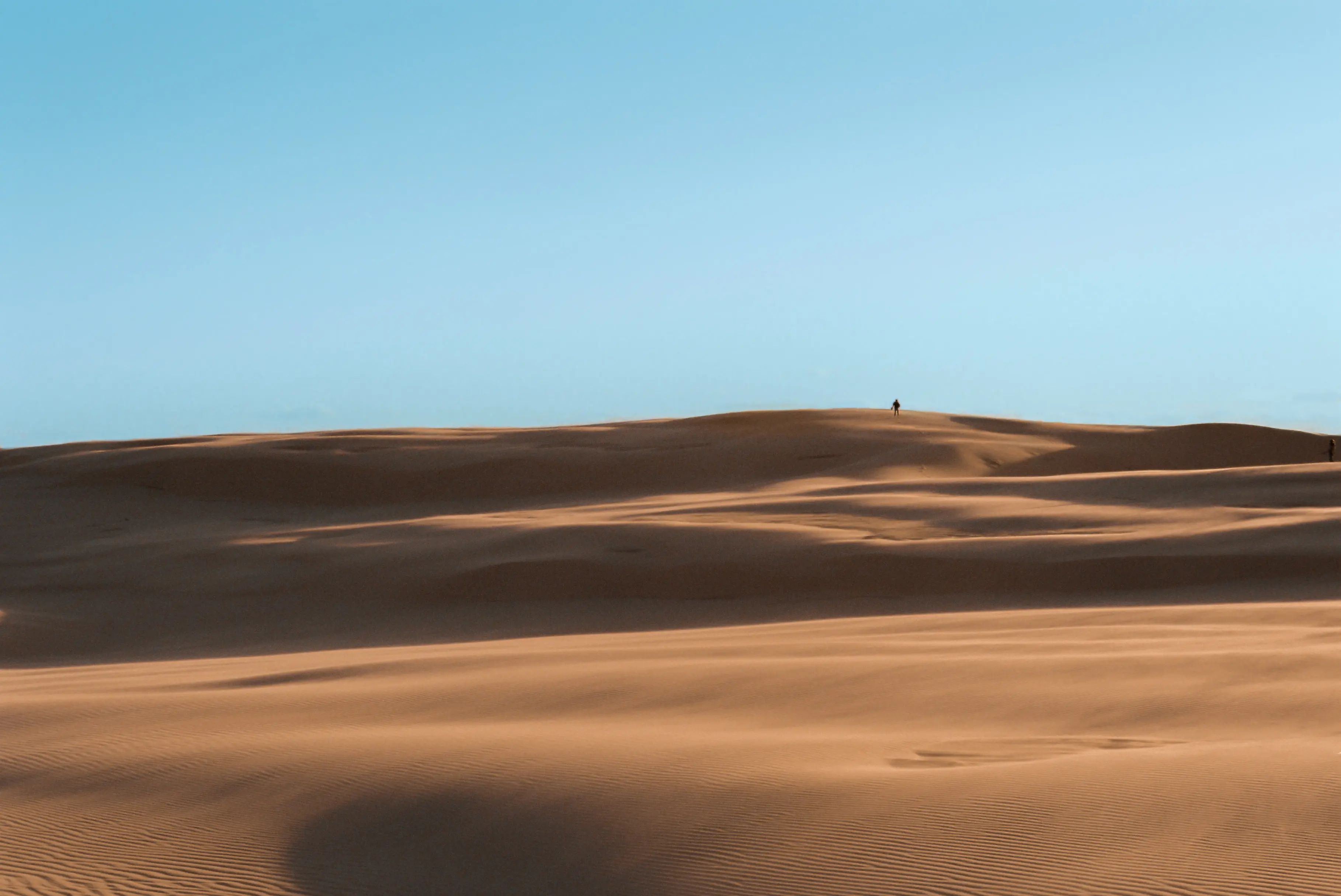 What the Australian Desert Really Taught us About User Experience Design